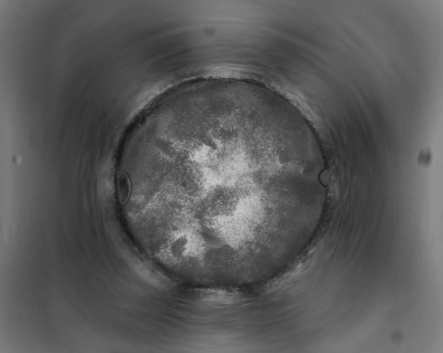 X0000101700347200807241438