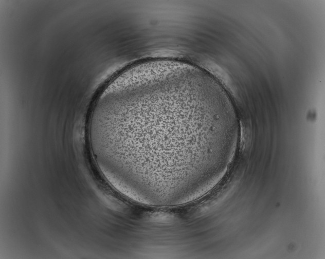 X0000101700348200807241438