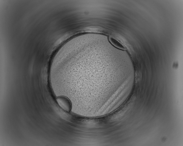 X0000101700349200807241438