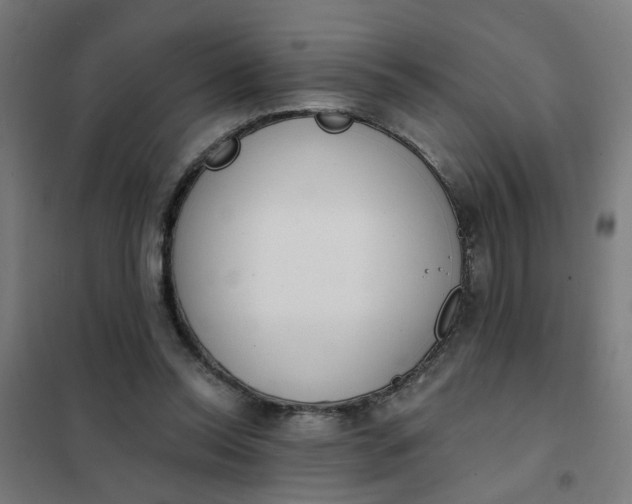 X0000101700350200807241438