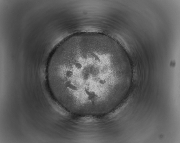 X0000101700351200807241438