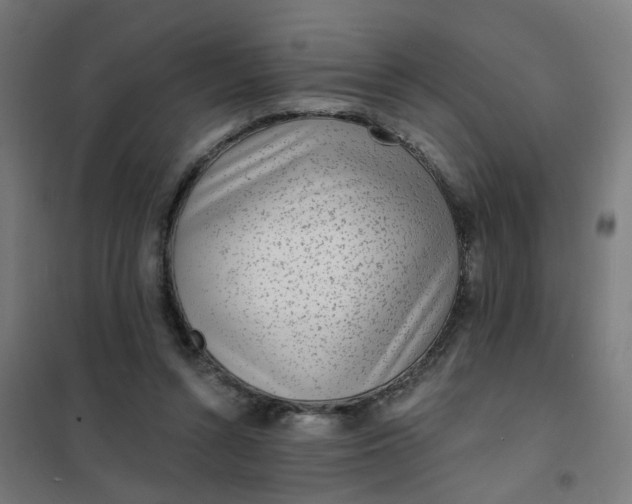 X0000101700352200807241438