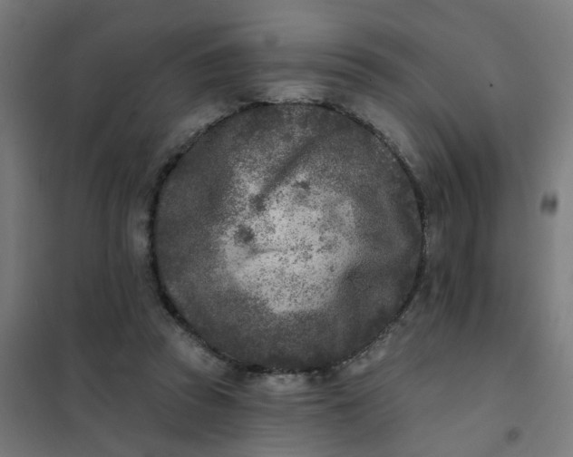 X0000101700353200807241438