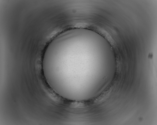 X0000101700354200807241438