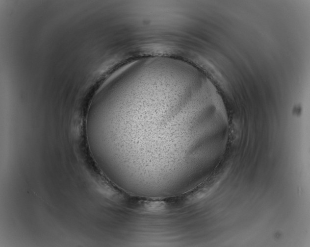 X0000101700355200807241438