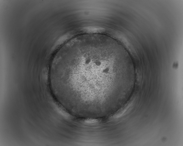 X0000101700357200807241438