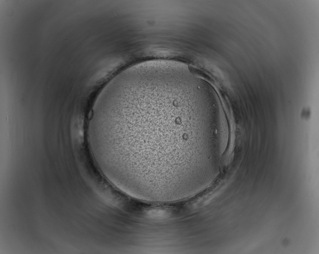 X0000101700358200807241438