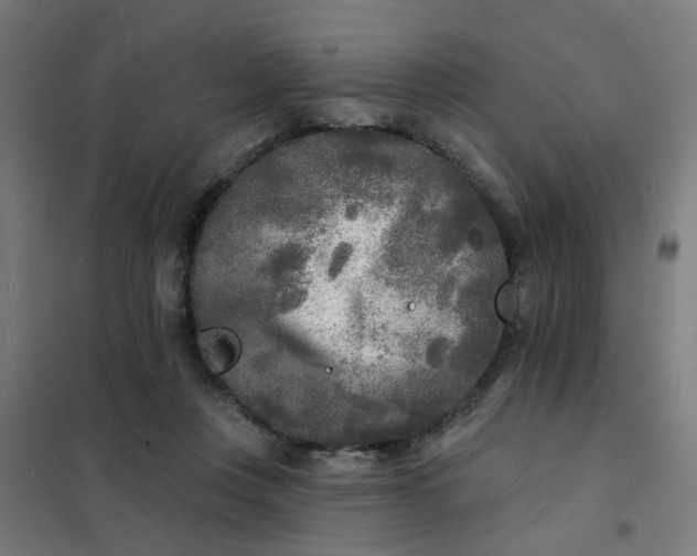 X0000101700359200807241438