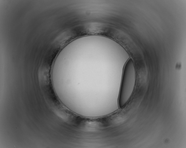 X0000101700360200807241438