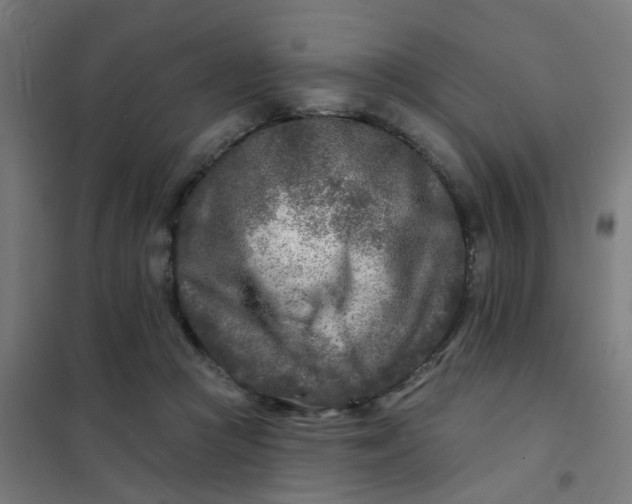 X0000101700361200807241438