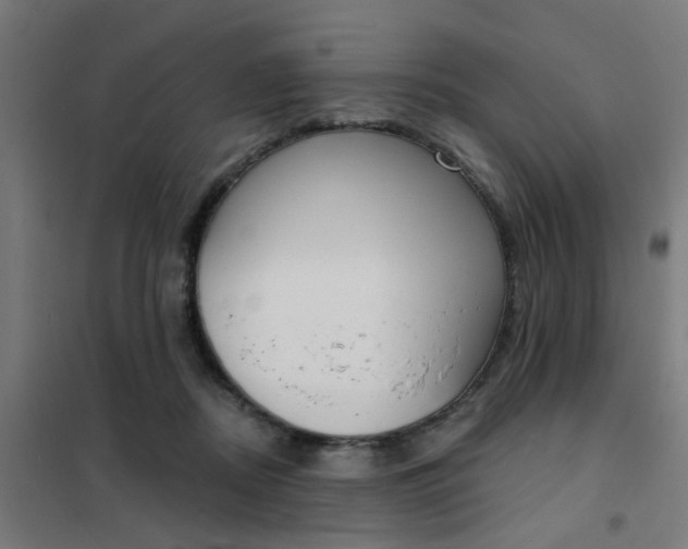 X0000101700362200807241438