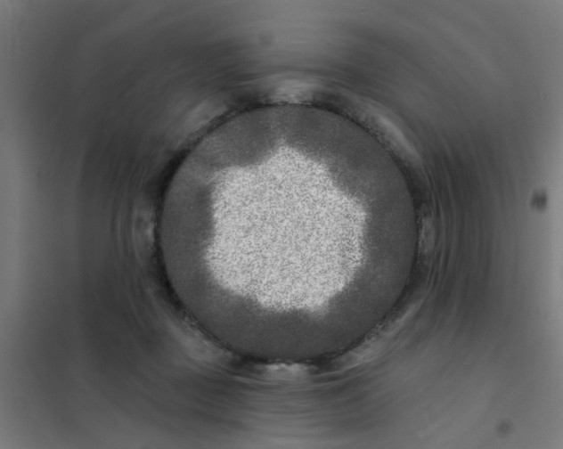 X0000101700363200807241438