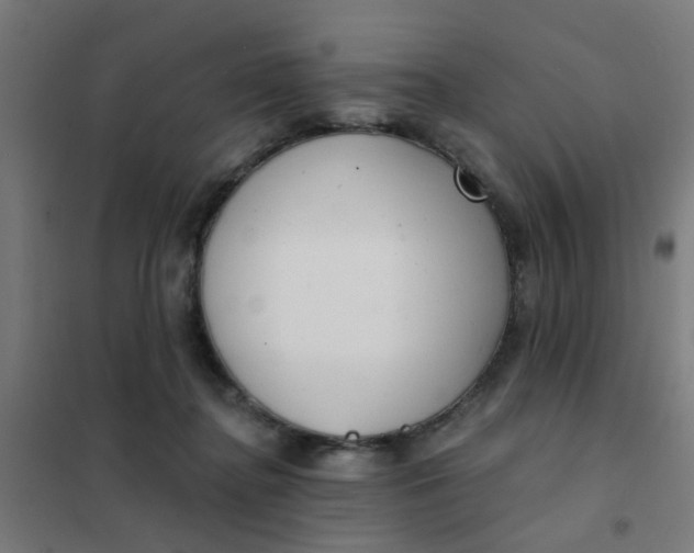 X0000101700364200807241438