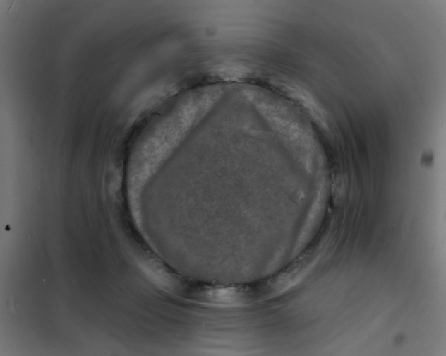 X0000101700365200807241438