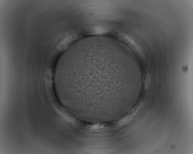 X0000101700366200807241438