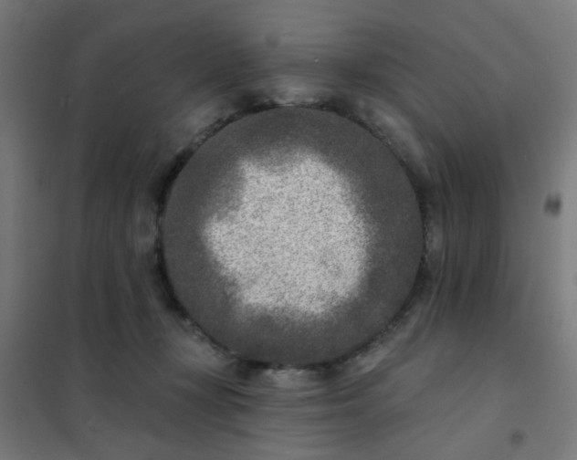 X0000101700367200807241438