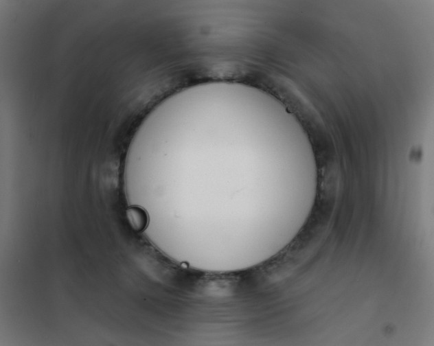 X0000101700368200807241438