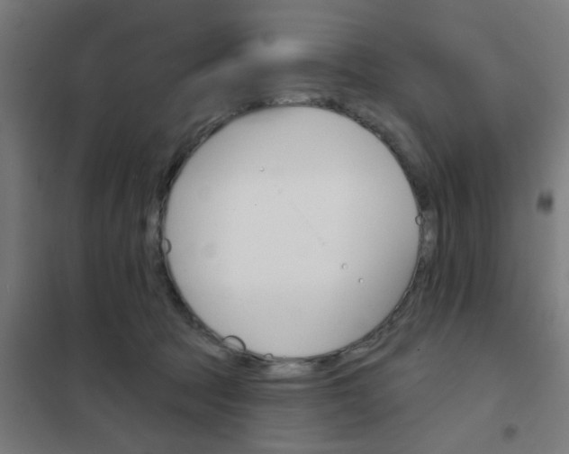 X0000101700369200807241438