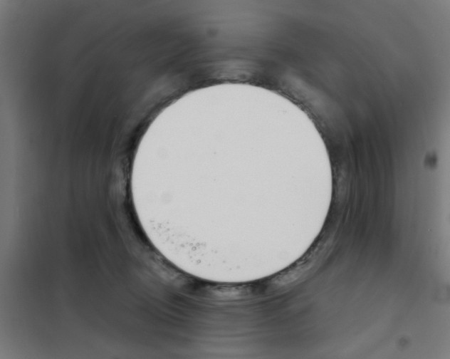 X0000101700370200807241438