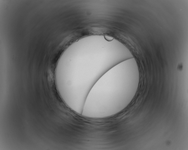 X0000101700371200807241438