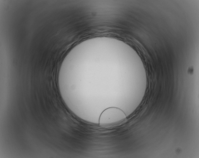 X0000101700372200807241438