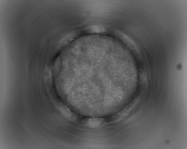 X0000101700373200807241438