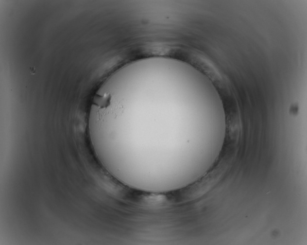 X0000101700374200807241438