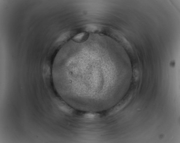 X0000101700375200807241438