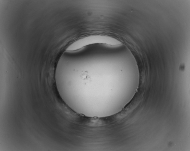 X0000101700376200807241438