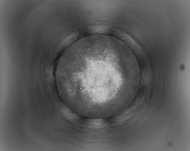 X0000101700377200807241438