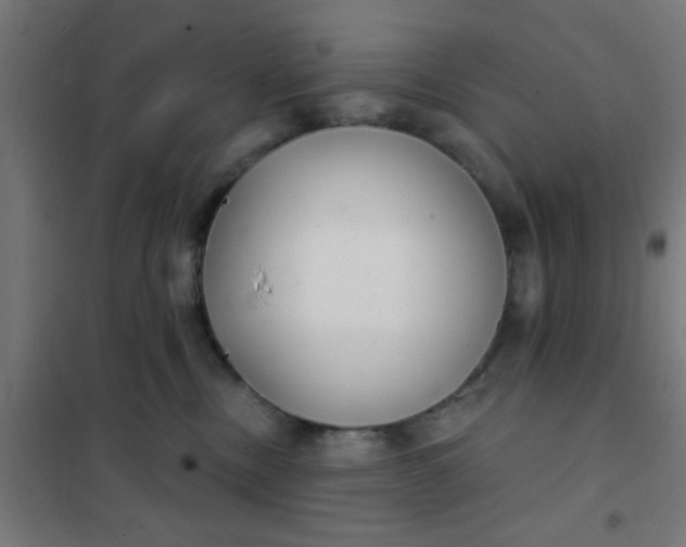 X0000101700378200807241438