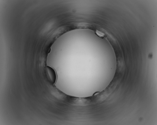 X0000101700379200807241438