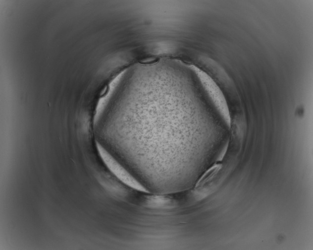 X0000101700380200807241438