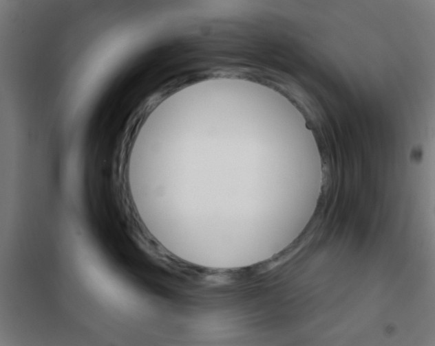 X0000101700381200807241439