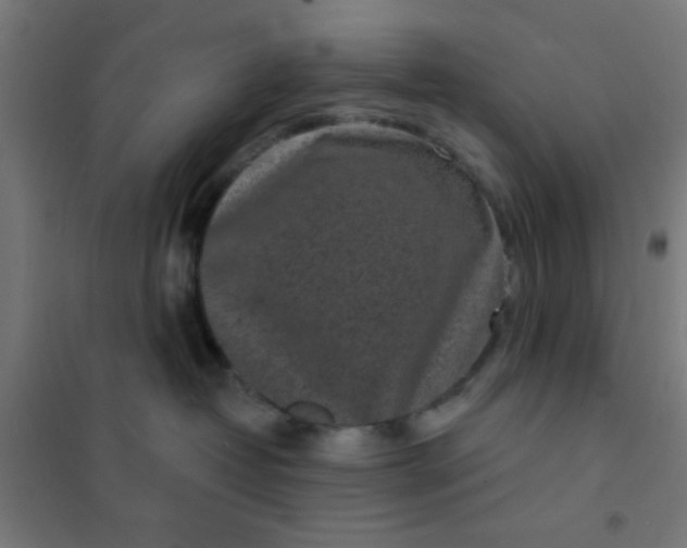 X0000101700382200807241439