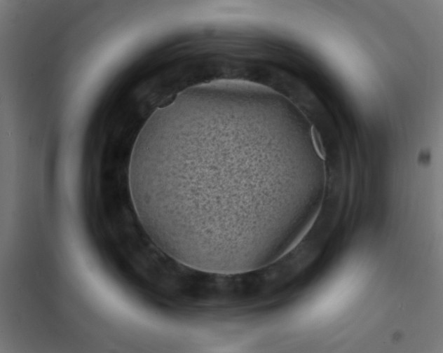 X0000101700383200807241439