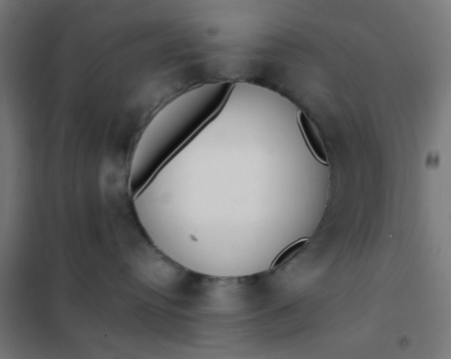 X0000101700384200807241439