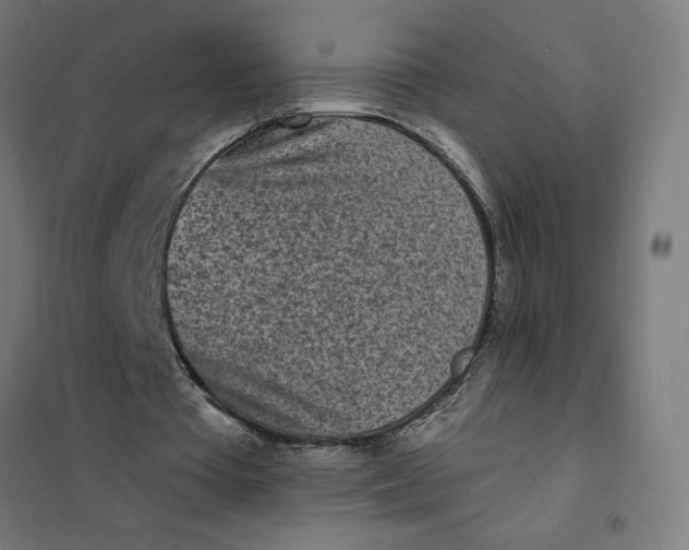 X0000101700385200807241438