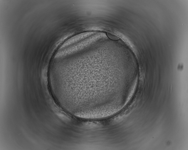 X0000101700386200807241438