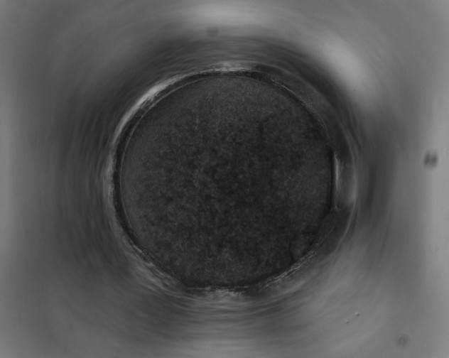 X0000101700387200807241438