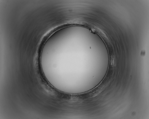 X0000101700388200807241438