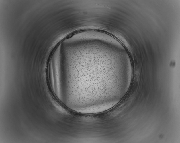 X0000101700389200807241438