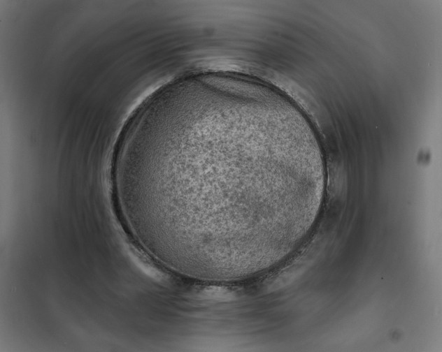 X0000101700390200807241438