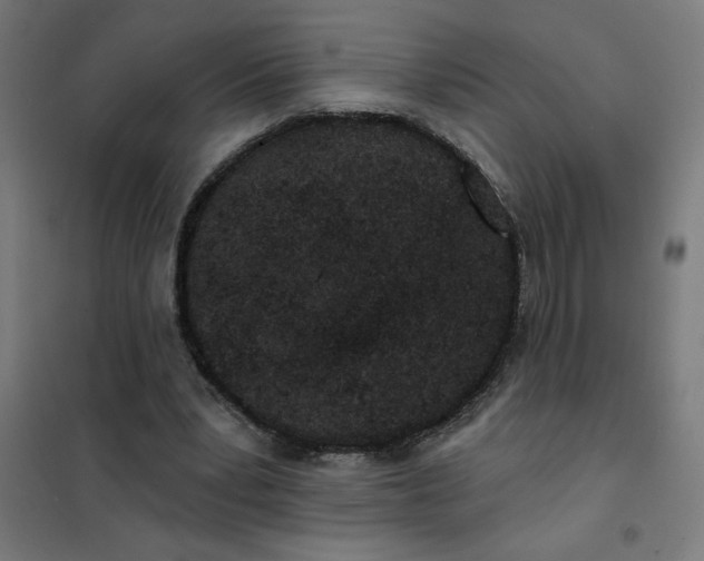 X0000101700391200807241438