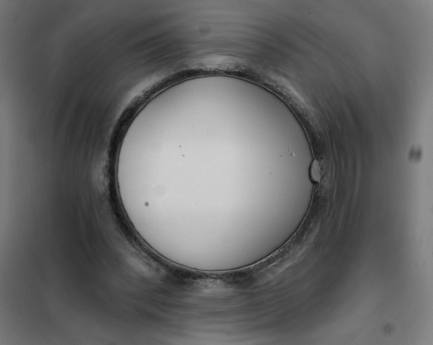 X0000101700392200807241438