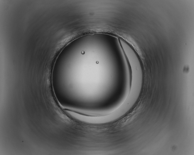 X0000101700393200807241438