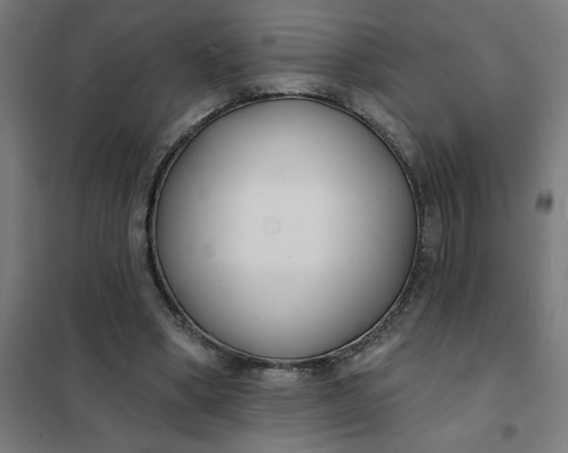 X0000101700394200807241438