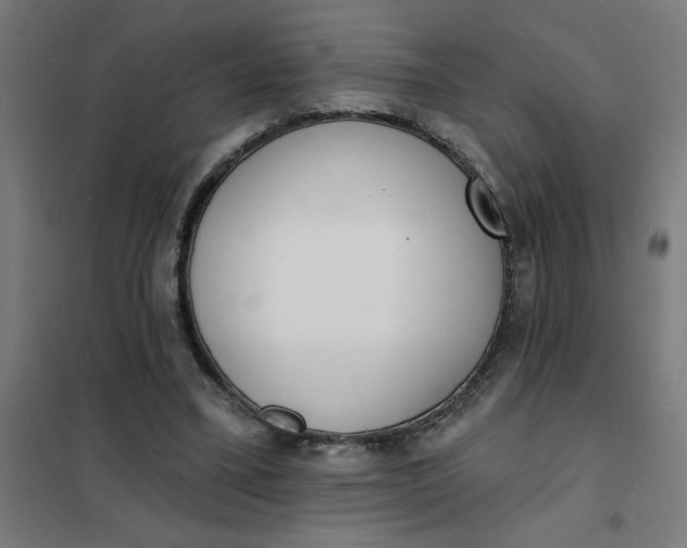 X0000101700395200807241438