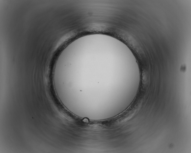 X0000101700396200807241438