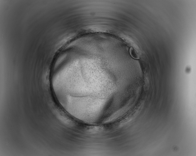 X0000101700398200807241438